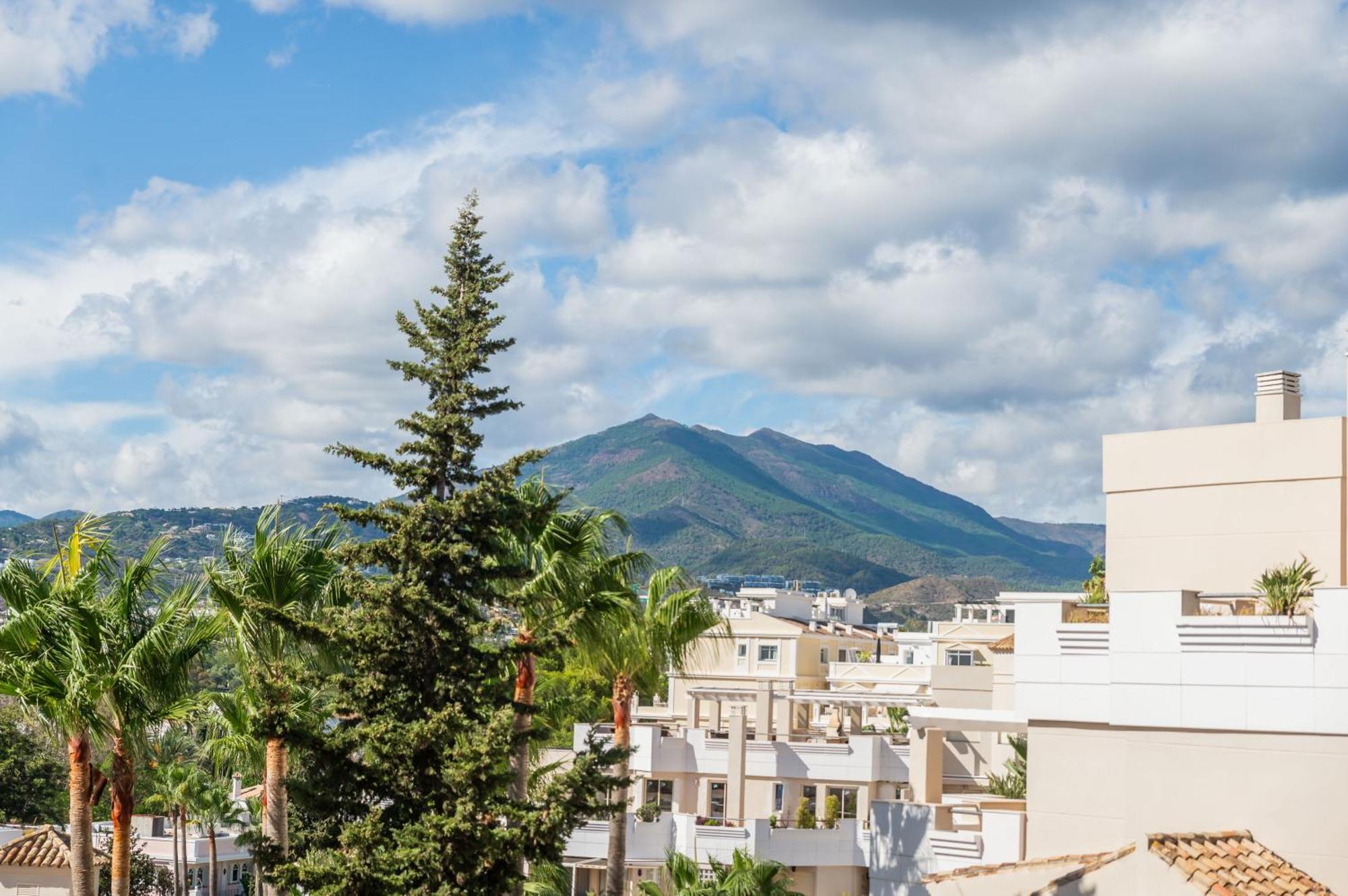 Newly Renovated Sunlit 3 Bdrm With Stunning Views Apartment *